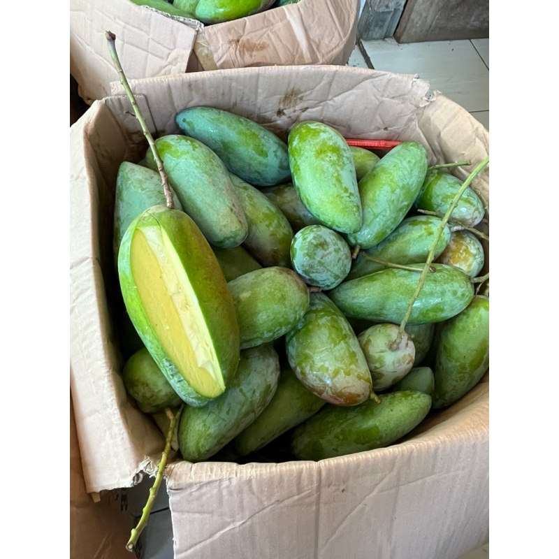 

mangga kiojay 2kg +bumbu gorojog si tetehtetehcianjur