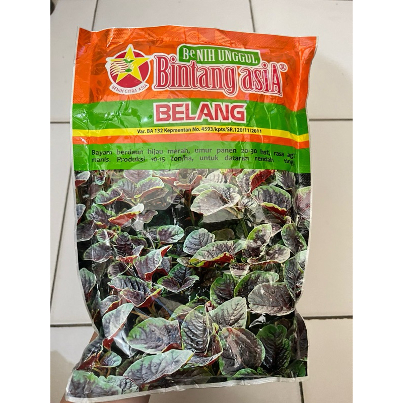 Benih Bayam Daun Hijau Merah - BELANG Bintang Asia 500 gram