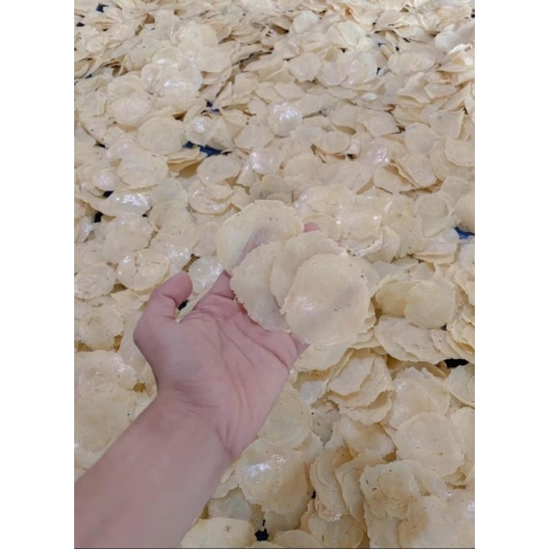 

EMPING MLINJO MENTAH SIAP DI GORENG 1KG GURIH RENYAH