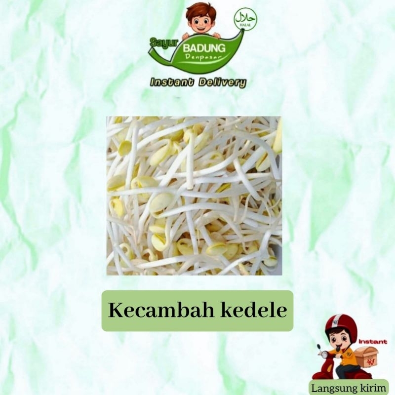 

Tauge KEDELE (Toge / Kecambah/ Cambah)