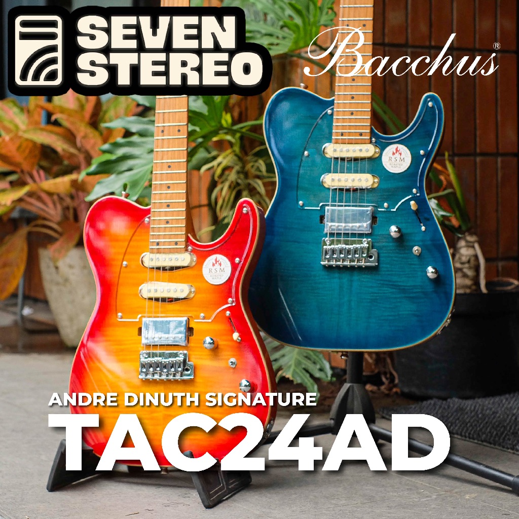 Bacchus Andre Dinuth Signature - Bacchus Guitar TAC24AD-FMH-RSM/M