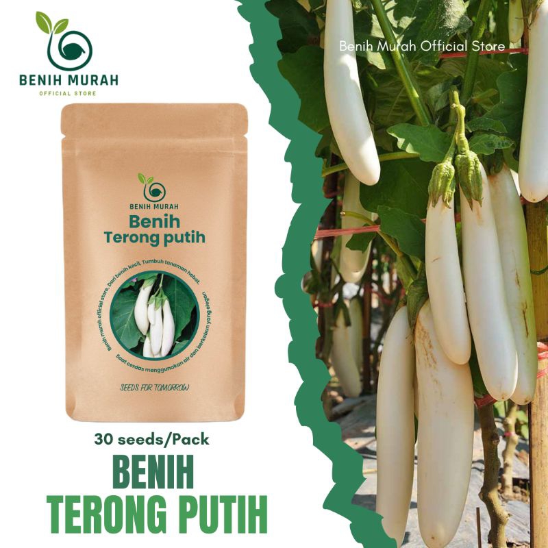 

Benih Terong Putih Bibit Sayuran