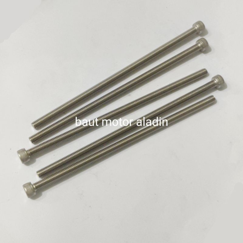 Baut 10/M6x150mm Stainless Kunci L5