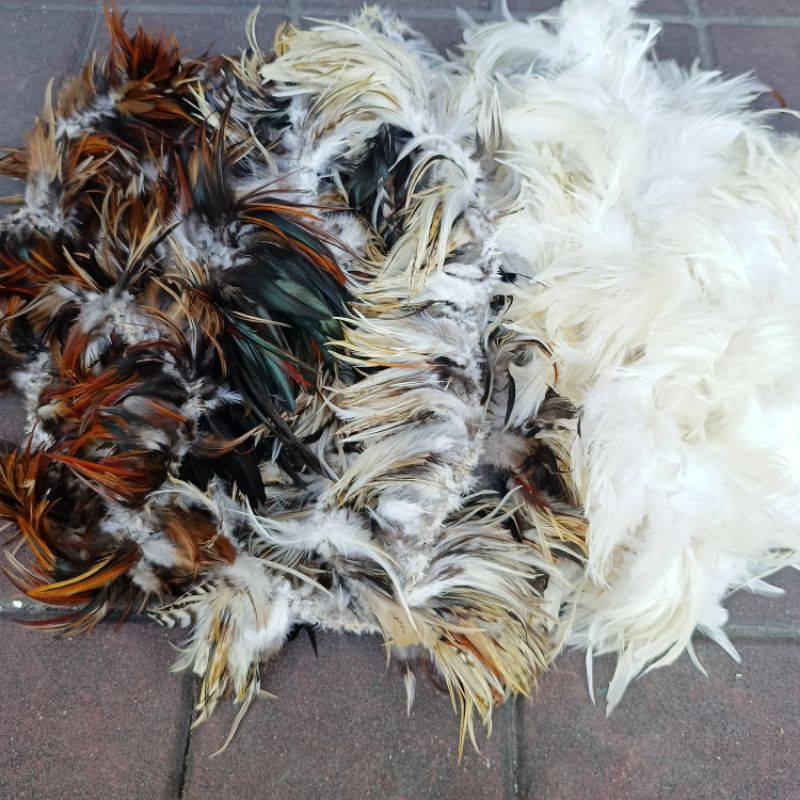 Aksesoris Bulu Ayam Cowok Meteran | Bulu Karnaval | Bulu Rawis