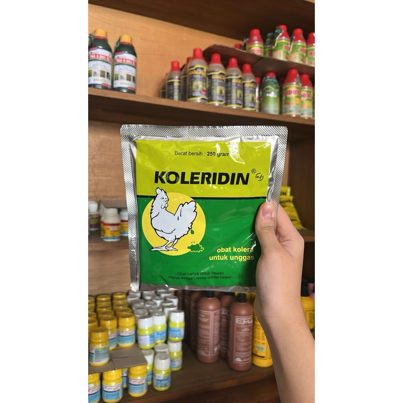Obat ayam KOLERIDIN 250 gram