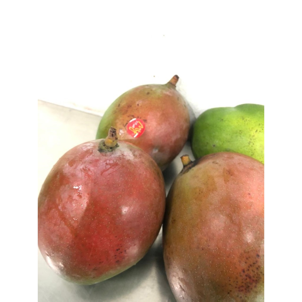 

My Fruit Mangga Red Irwin 1 kg