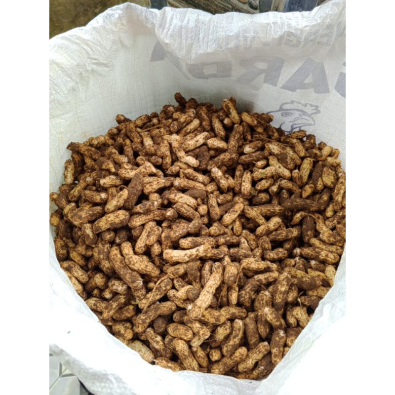 

kacang tanah mentah berat 1kg