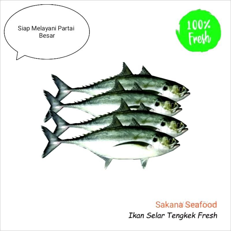 

IKAN TENGKEK 1KG FRESG