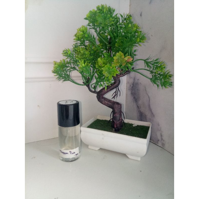 PARFUM BIBIT ASLI || PARFUM TAHAN LAMA