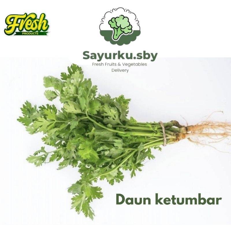 

Sayurku.Sby ( bisa kirim instan) Daun Ketumbar/ Koriander 250gr