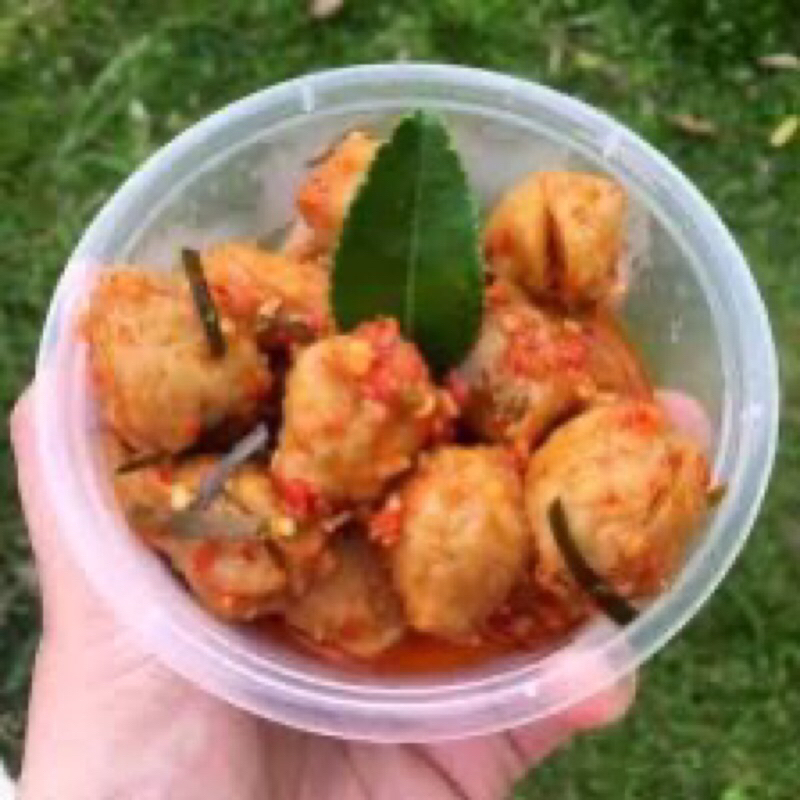 

Pentol Bakso Mercon Mama Delisa ukuran sedang isi 8 pcs