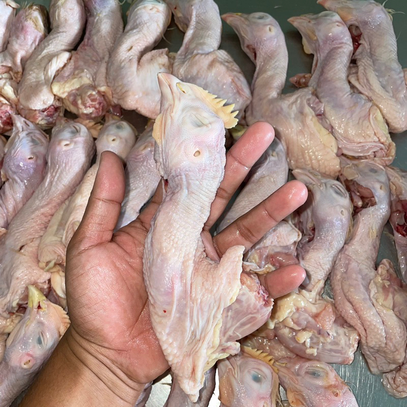 

Kepala Ayam SEGAR 1 KG HALAL 100%