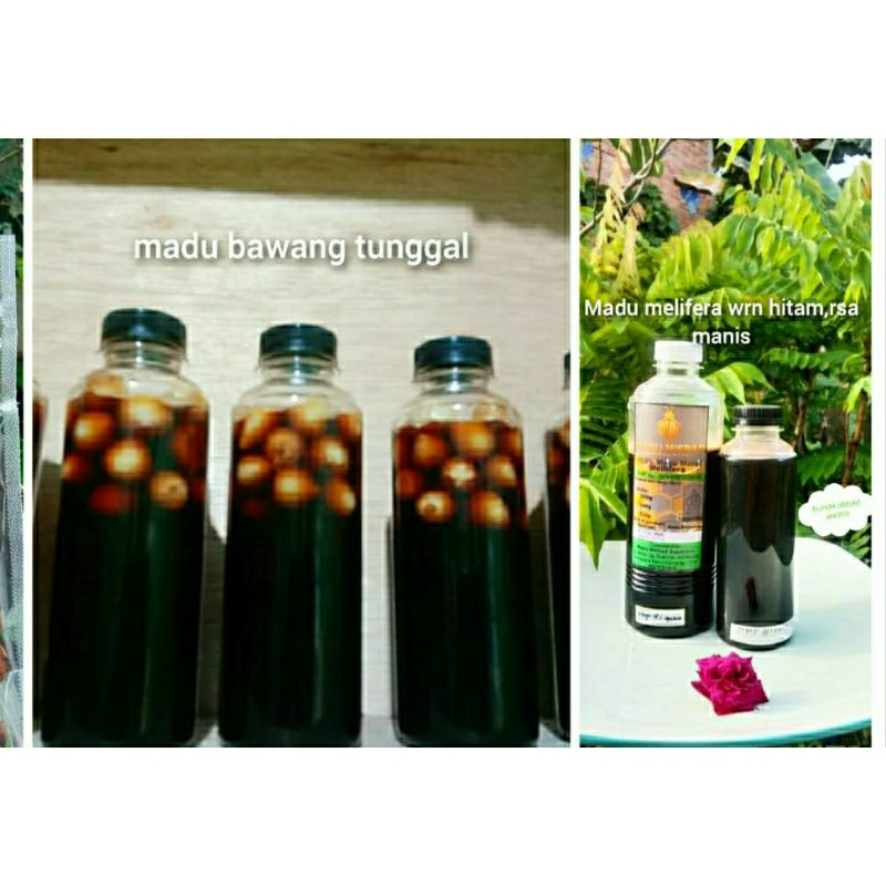 

Madu bawang lanang