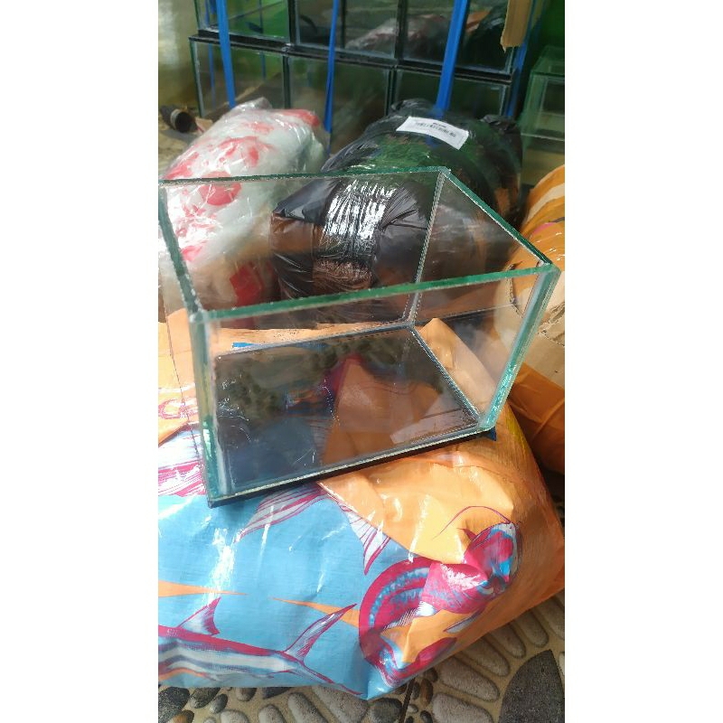 Aquarium Mini 15X10X10 Soliter Kaca