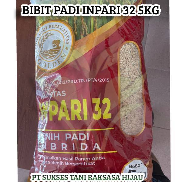 Benih Padi Sawah Unggul Inpari 32 5kg