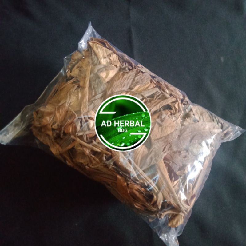 

Daun Ekor Naga Kering Per 250 Gram Herbal Alami