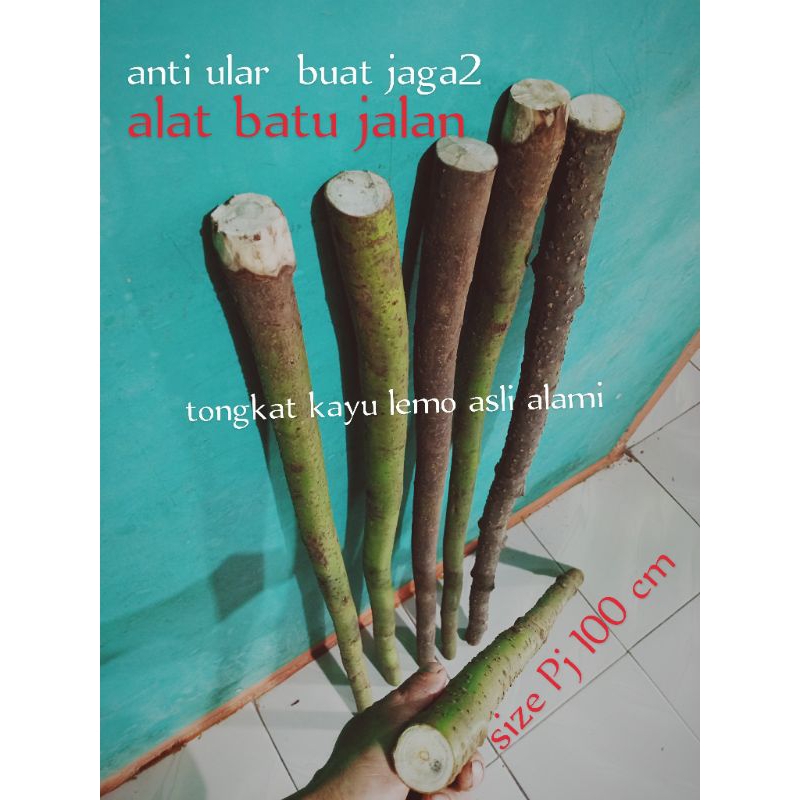 tongkat kayu lemo tongkat alat bantu jalan asli alami alam ber variasi(.anti ular)