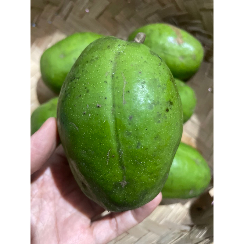 

Kedondong medium 1kg