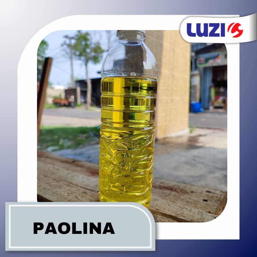 PAOLINA BIBIT PARFUM BY LUZI KEMASAN REPACK 500GR