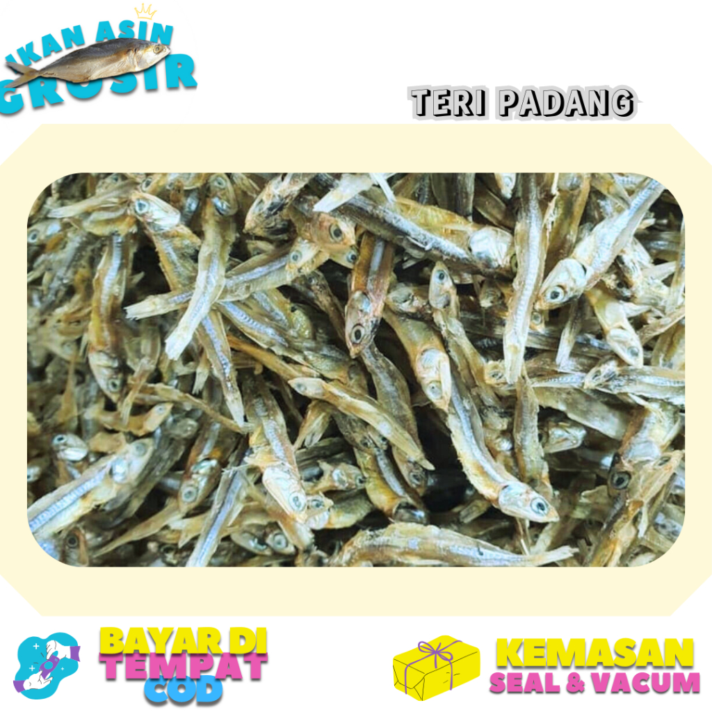 

Grosir Ikan Asin Teri Padang 500 gram