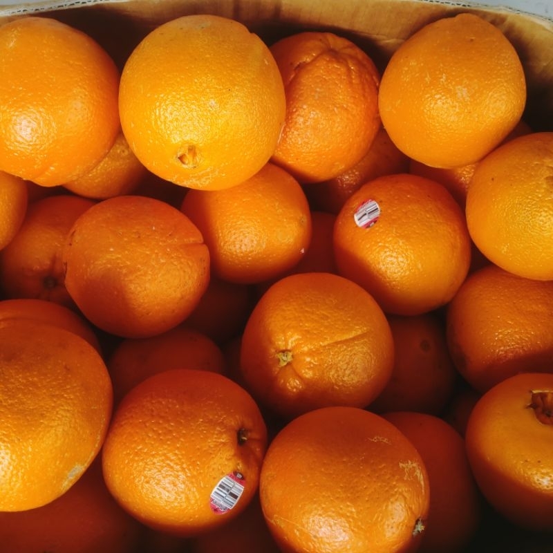 

JERUK SUNKIST VALENCIA