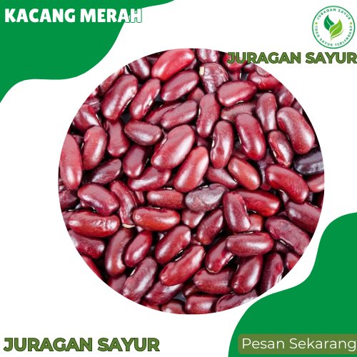 

Kacang Merah Segar - Kacang Merah 1 kg - Kacang Kupas Segar - Juragan Sayur