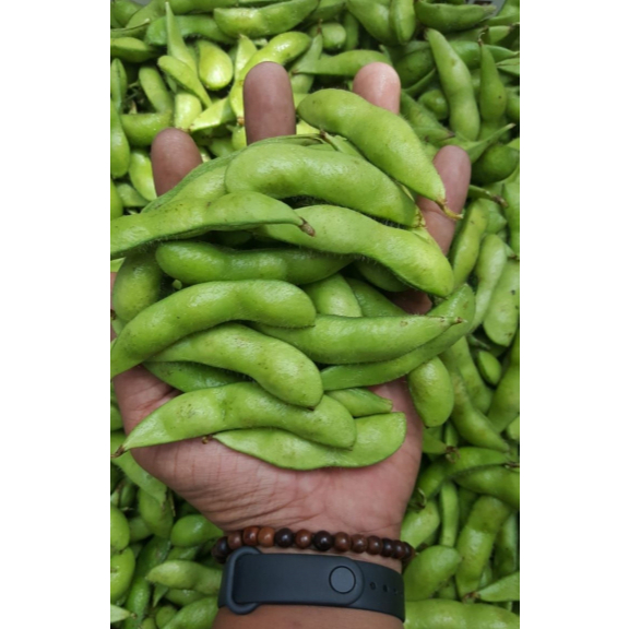 

EDAMAME SEGAR 250gr Kirim INSTAN