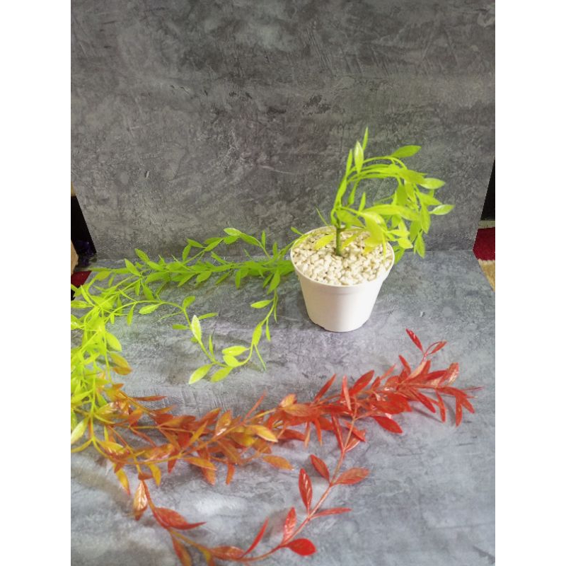 (COD) JUNTAI DAUN LEE KWAN YEW + POT MINI D8 HIASAN DINDING MURAH JUNTAI DAUN PLASTIK