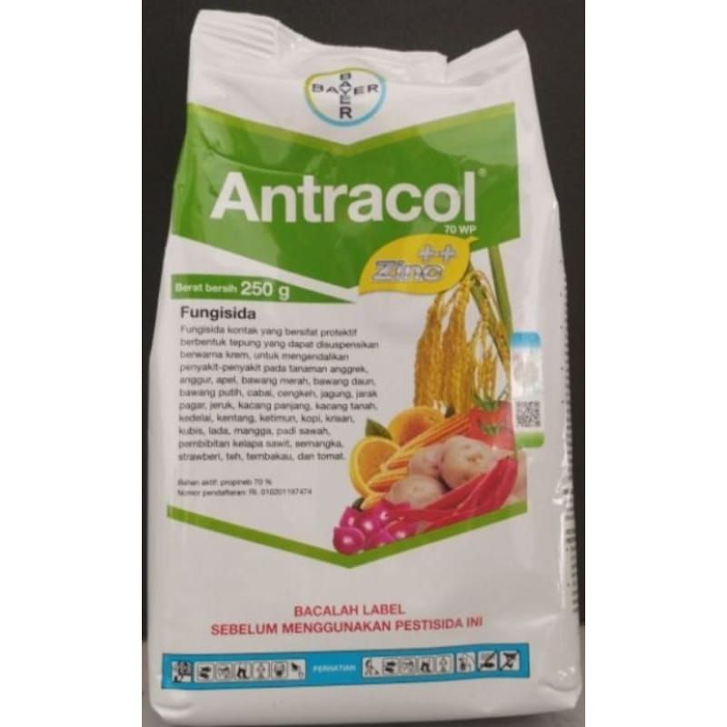 Antracol 500gr