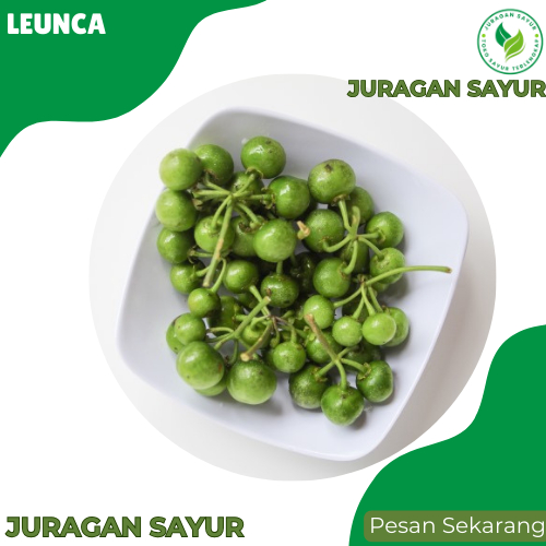 

Juragan Sayur - Leunca 100gr -Leunca Segar