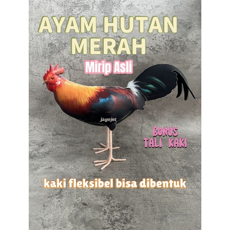 Patung Jontrot Ayam Hutan Merah Jantan