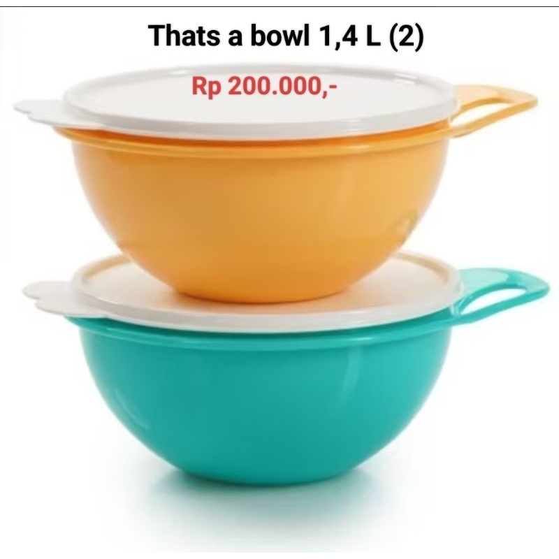Thats a bowl 1,4 L Tupperware (1)