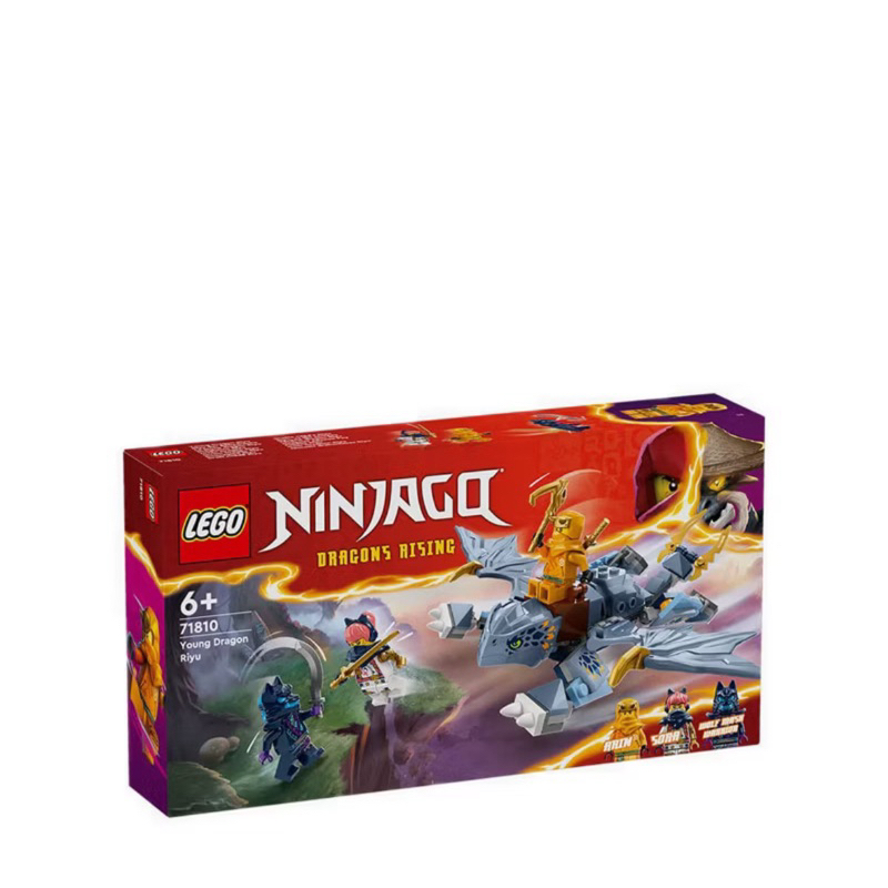 Lego Ninjago Dragon raising 71810