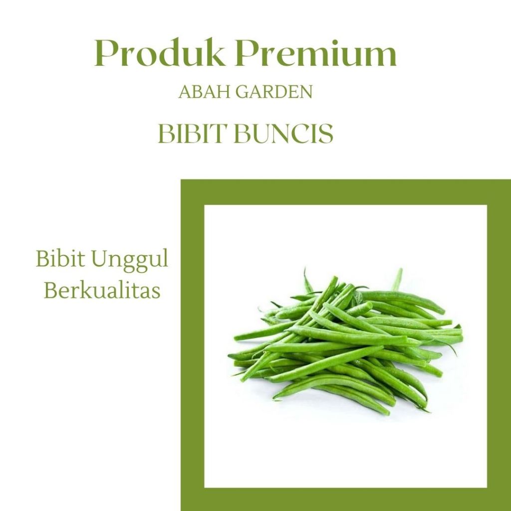 Benih Buncis Bibit Buncis Bibit Unggul