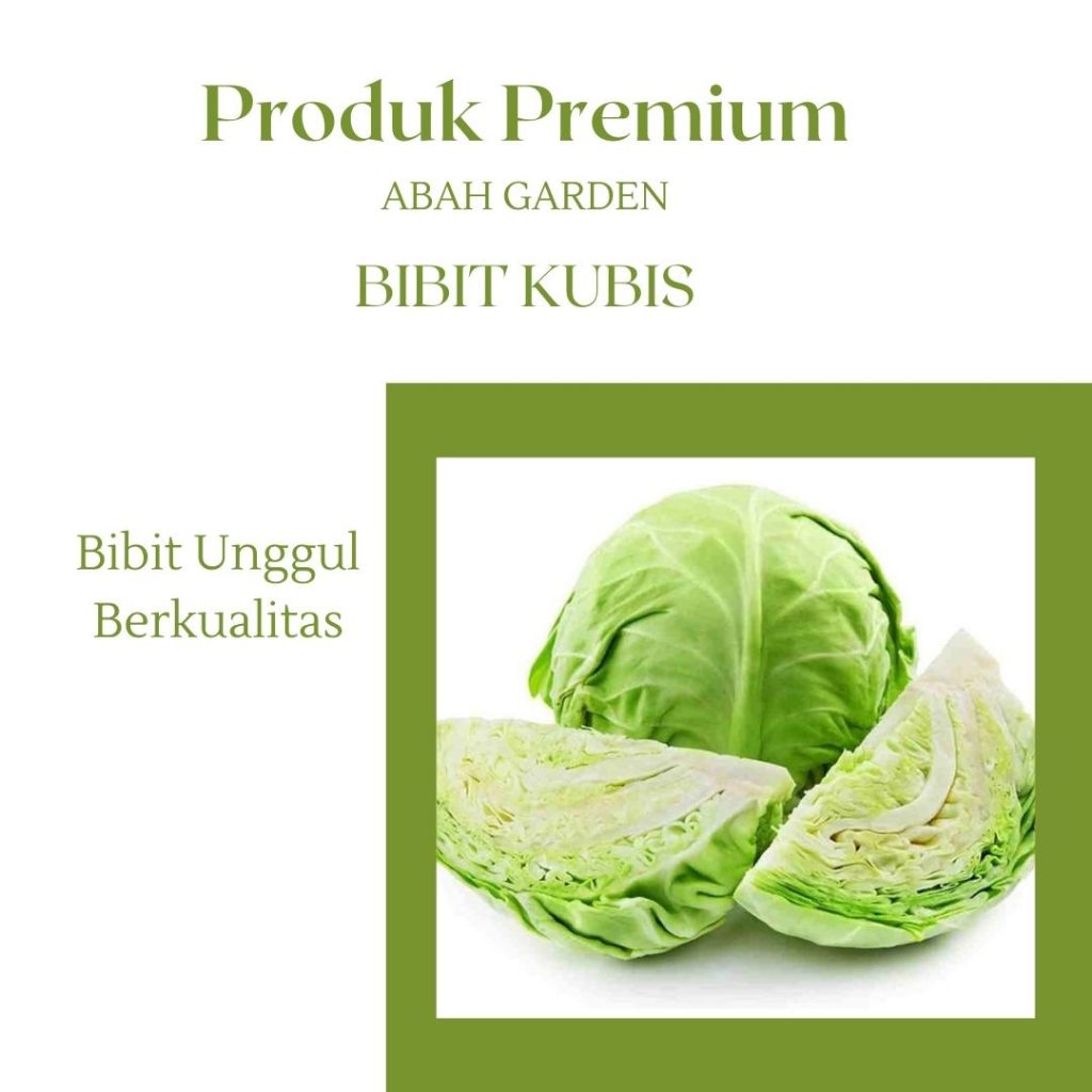Benih Kubis bibit Sayuran Kubis Bibit Unggul