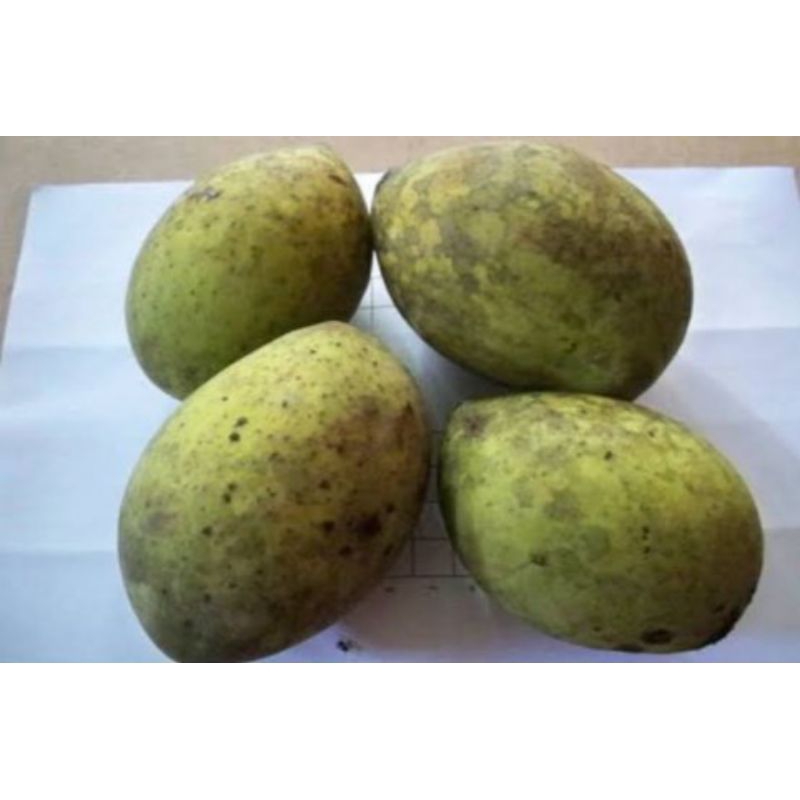 

buah Limus asam manis