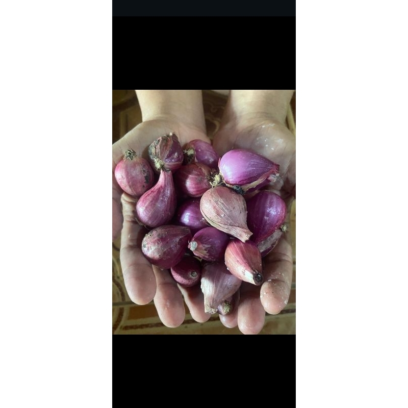 

Bawang merah 1kg murah meriah
