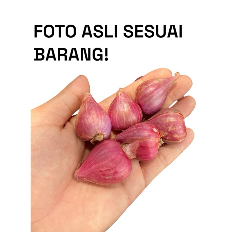 

Bawang Merah Tanggung Besar 1Kg TERMURAH