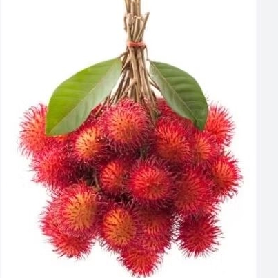 

RAMBUTAN PER KG