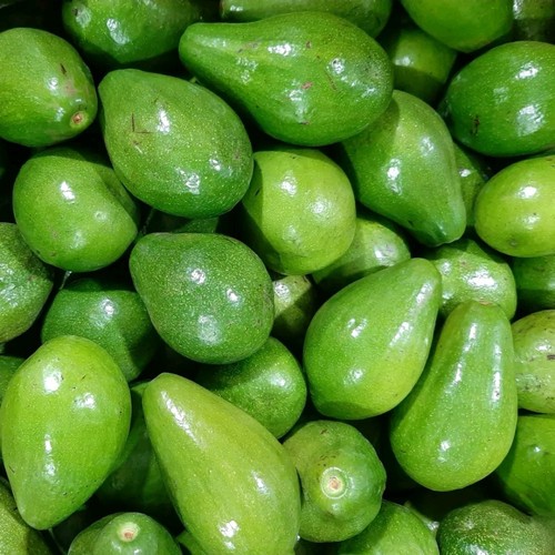 

Buah Alpukat Mentega 1 kg 1000 Gram