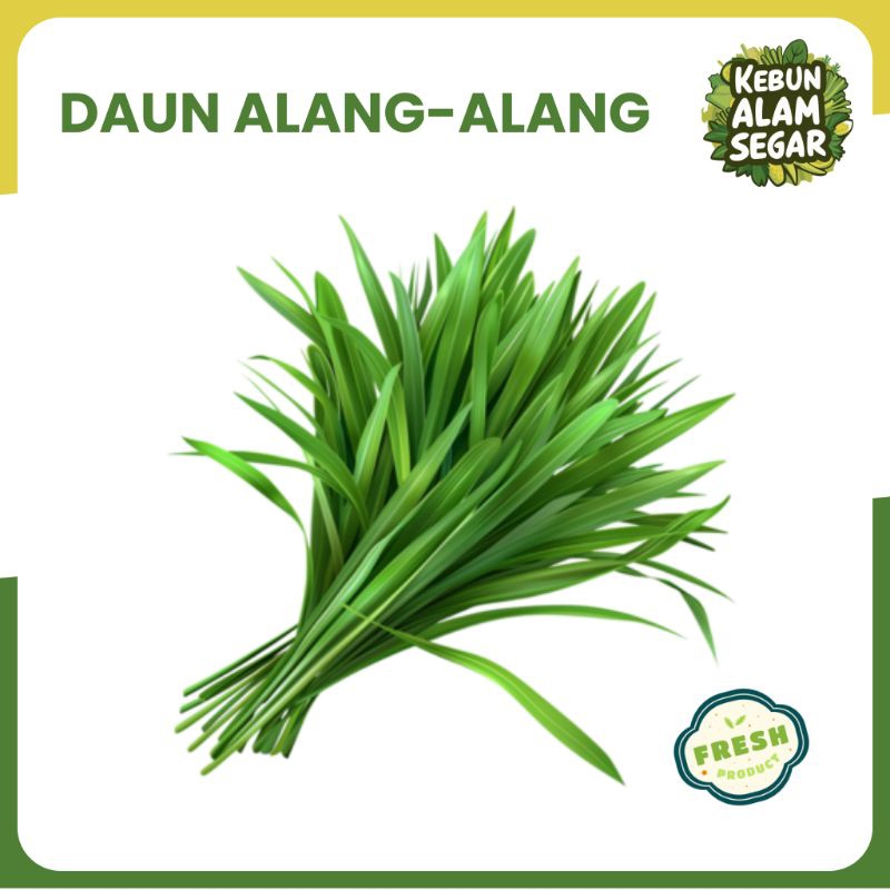 

DAUN ALANG-ALANG ILALANG SEGAR 500gram langsung petik