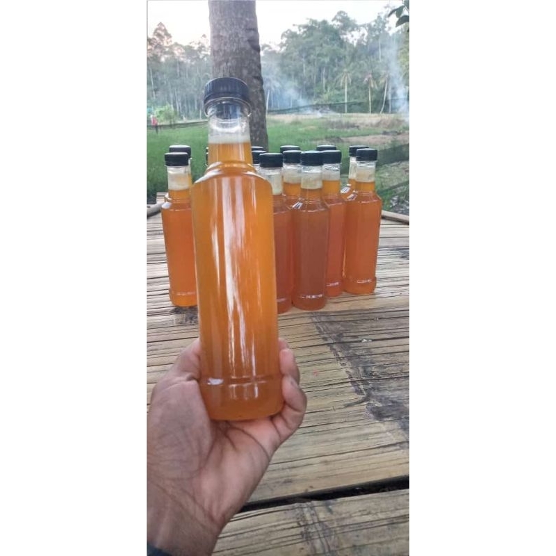 

madu odeng hutan liar