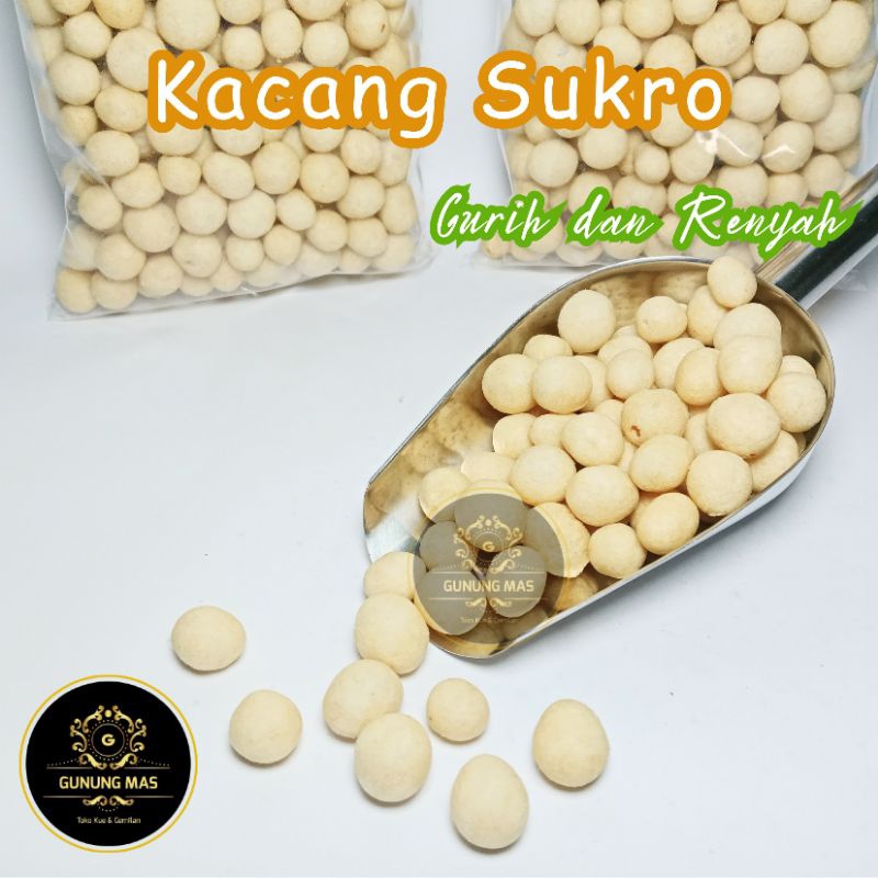 

KACANG SUKRO 250gr / SUKRO KILOAN / SUKRO ASIN / SUKRO GURIH / SUKRO BESAR