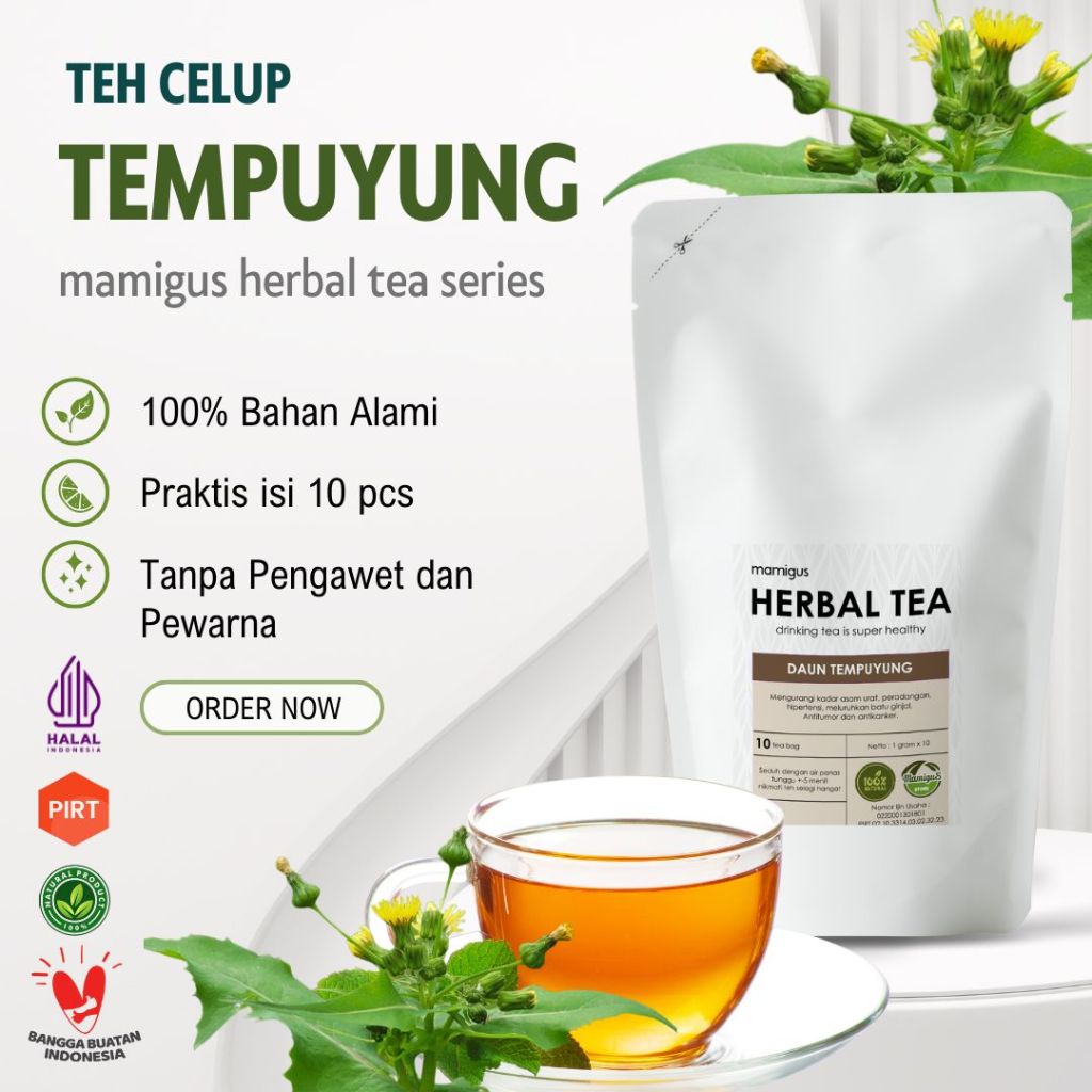

TEH CELUP TEMPUYUNG / Teh Tempuyung / Tempuyung Leaf Tea / Teh Herbal Alami