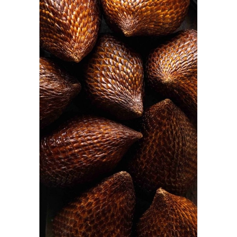 

SALAK PONDOH 1KG