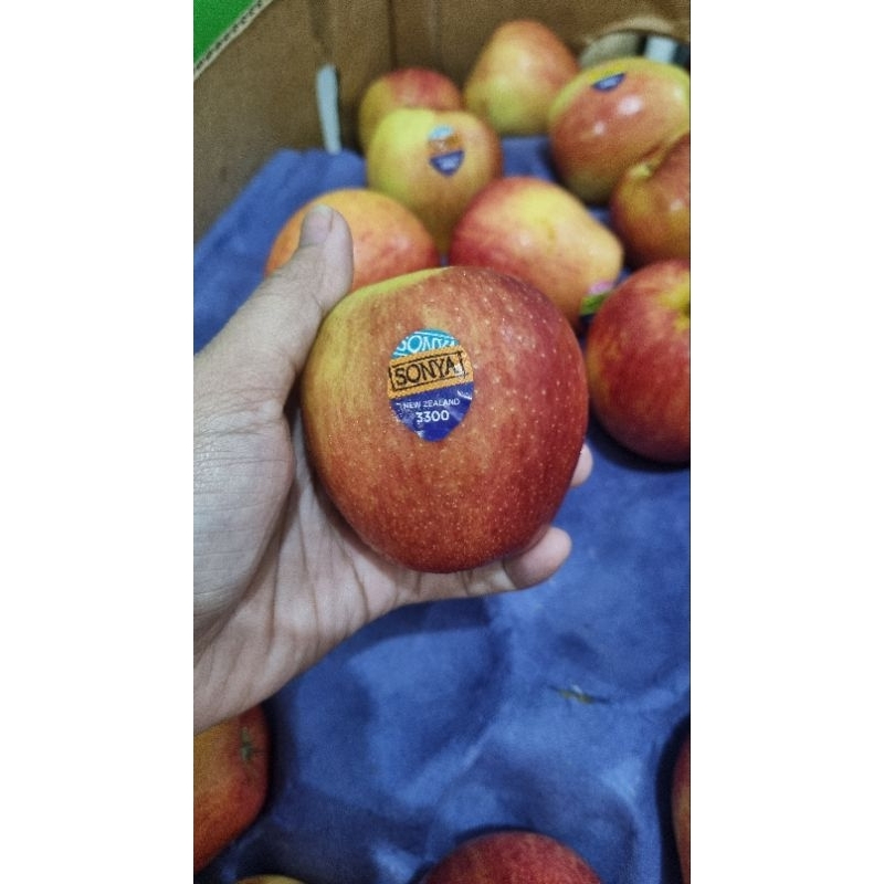 

PROMO NATAL! APEL FUJI NUEW ZEALAND