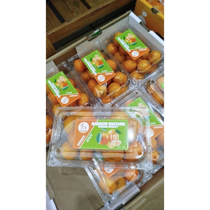 

Jeruk Santang Rainbow