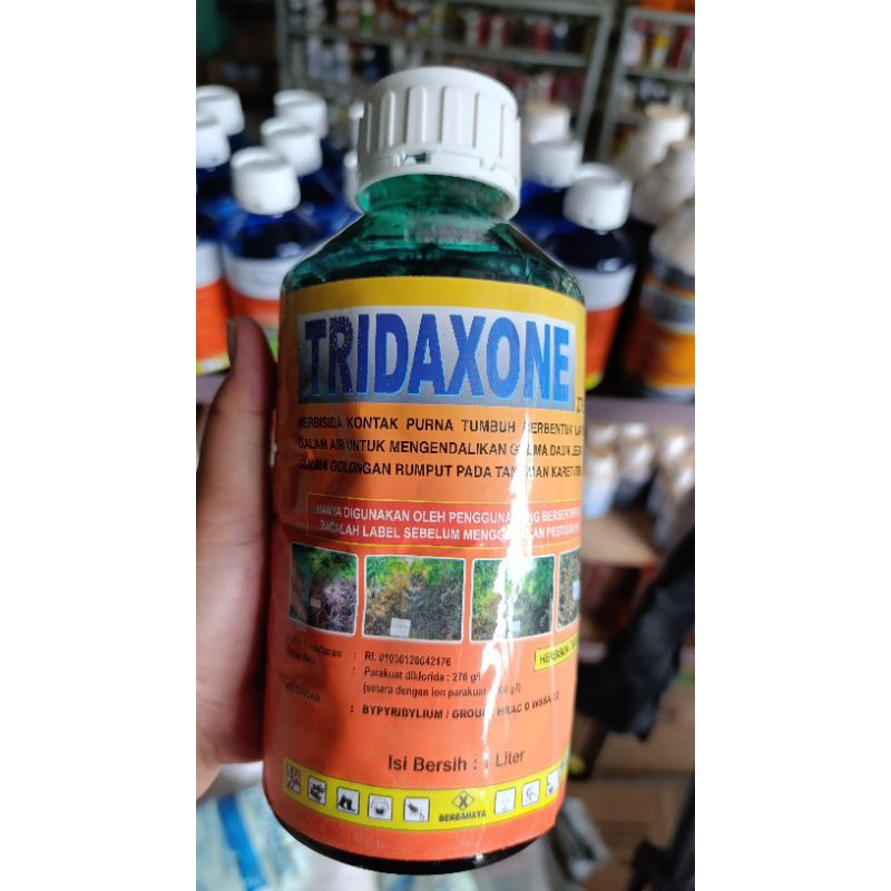 

Herbisida Kontak / Racun Rumput 276 SL Tridax One