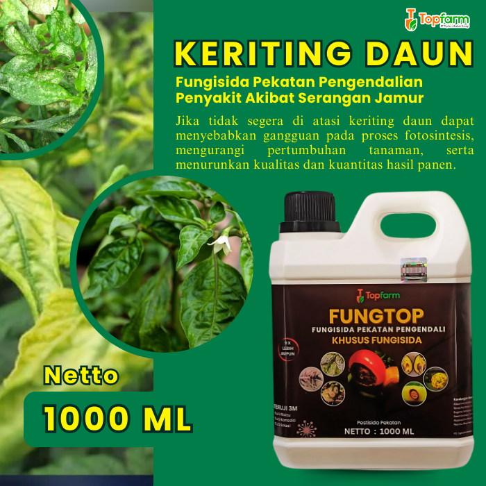 Obat Tanaman Cabe Daun Keriting /  Obat Keriting Daun Cabe / Obat Cabe Daun Keriting / Obat Layu Pus