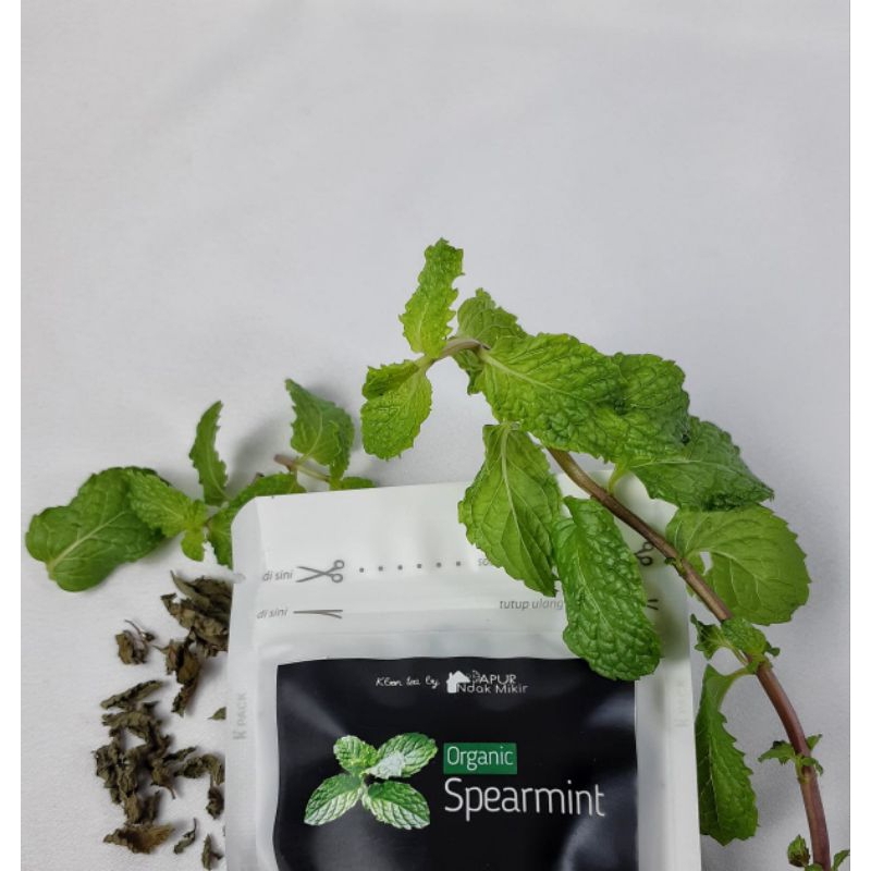 

Organic Spearmint / Daun Spearmint Kering Organik